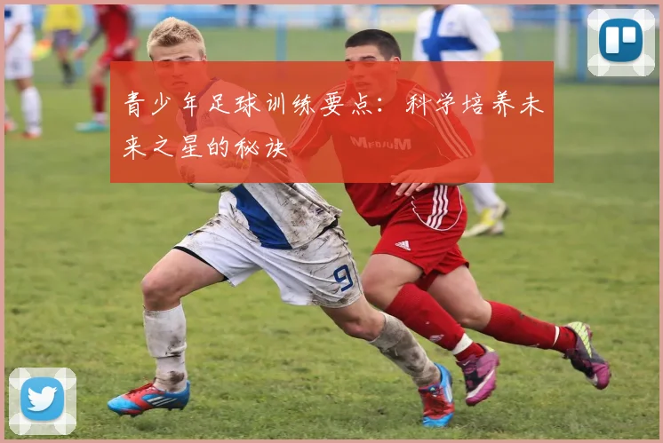 青少年足球训练要点：科学培养未来之星的秘诀